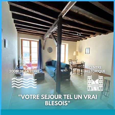 L'Escapade Blesoise - Hyper Centre Apartman Blois Kültér fotó