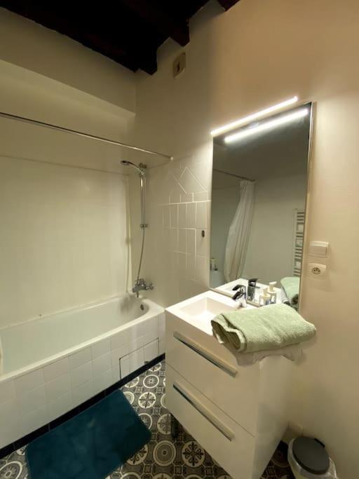 L'Escapade Blesoise - Hyper Centre Apartman Blois Kültér fotó